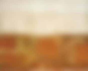 Orange Landscape (preview)