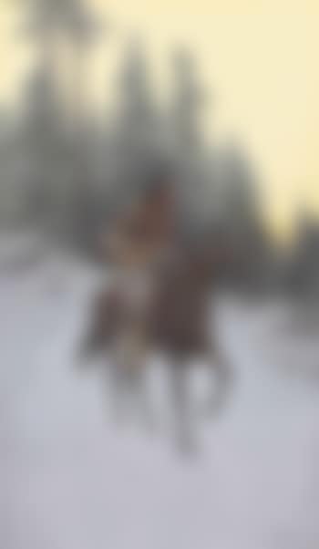 On The Trail (preview)