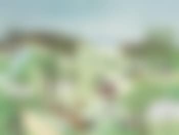 Cross Roads (preview)