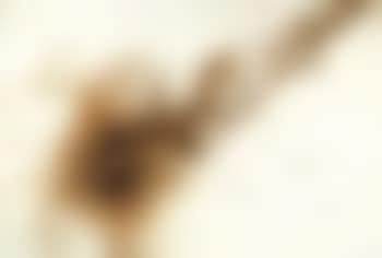 Drawing for Fireworks From Heaven (preview)