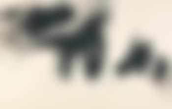 Drooping Autumn (preview)