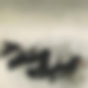 Life Forms (preview)