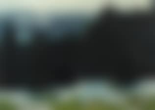 Gebirgslandschaft im Vorfrühling (preview)