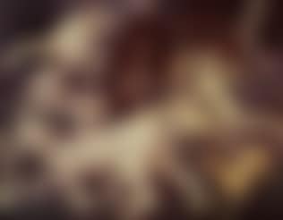 Hirsch und Hunde (preview)