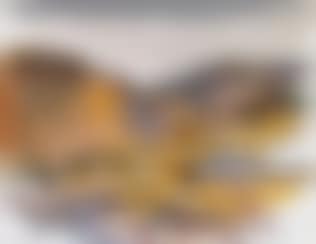 Landschaft (preview)