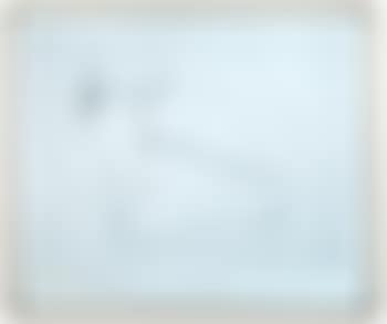 The artist`s dachshunds, Stanley and Boodgie - New Drawings, Salts Mill (preview)