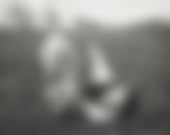 Les Amis, Esztergom (preview)