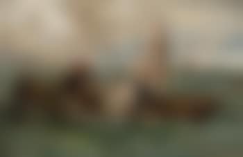 Traversata in laguna (preview)