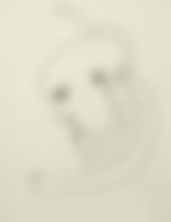 Masque. Personnage (preview)