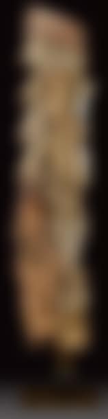 Homme et oiseaux (preview)
