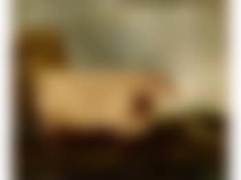 Shorthorn bull. Cow (preview)