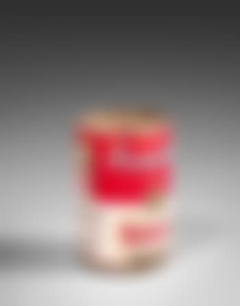 Campbell's tomato soup (preview)