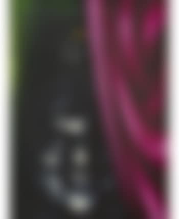 Portrait of Vladimir Kartsev (preview)