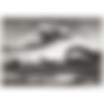The race (homeward bound) (preview)