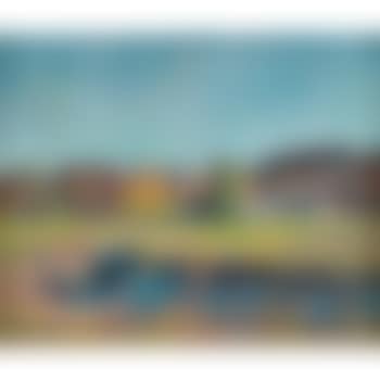Houses in the landscape (preview)