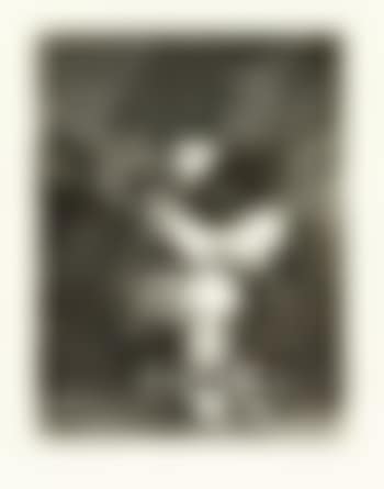The little prisoner (preview)