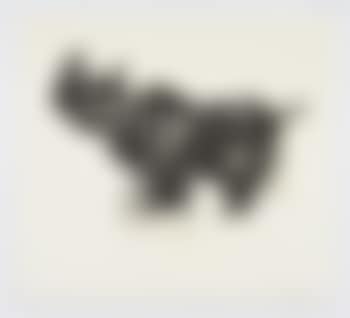 Rhino (head up) (preview)