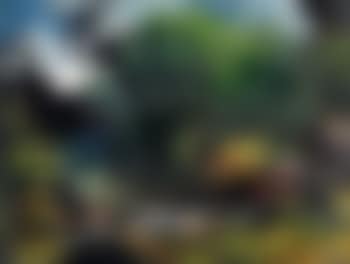Bachlandschaft (preview)