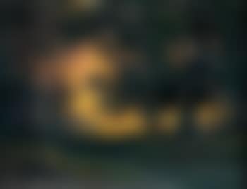 Abendliche Uferlandschaft (preview)