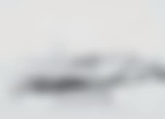 Ohne Titel (preview)