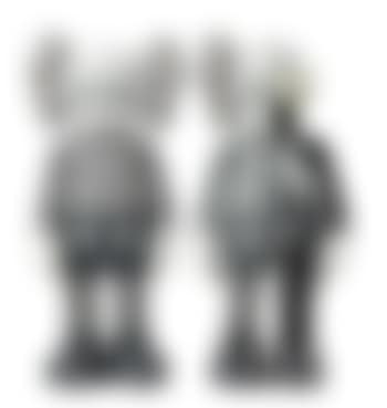 Companion (preview)