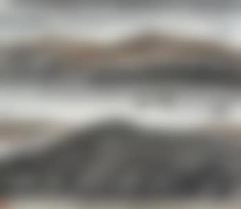 Geese Flying across the Pond (preview)