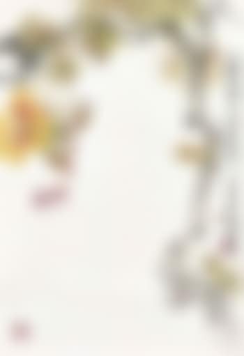 Flower and Insects (preview)