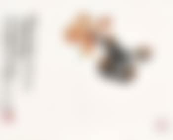 Pair of Butterflies (preview)