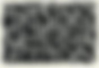 Muses with Graphite (preview)