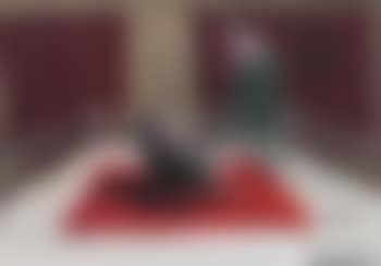 Challenge Cup (preview)