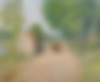 A French Village Street Scene (preview)