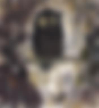 Owl (preview)