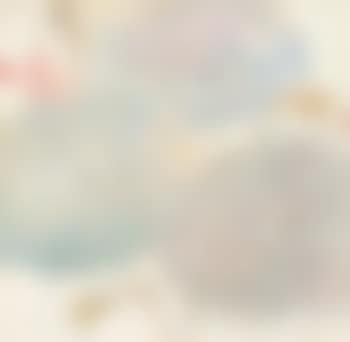 Lotuses (preview)