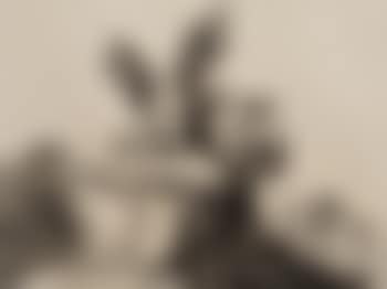 Contra El Bien General (preview)