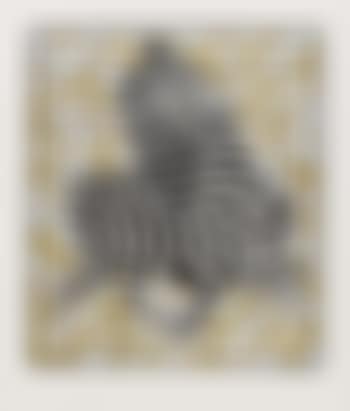 Zebras (Gold/Silver) (preview)