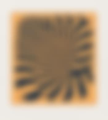 Zebra Couple (Orange) (preview)