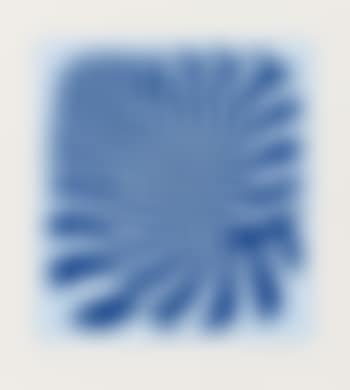 Zebra Couple (Blue) (preview)