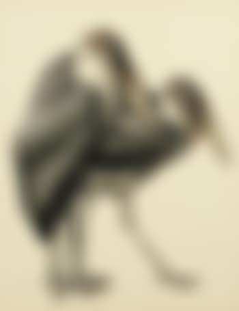 Deux marabouts (preview)
