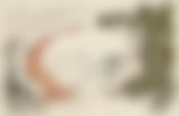 Vision De Paradis (preview)
