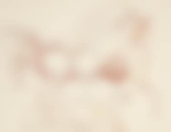 L'etalon Blanc (preview)