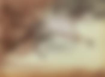 Leopard seeking its shadow (preview)