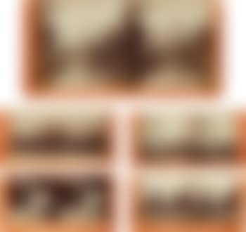 Selected Images (preview)
