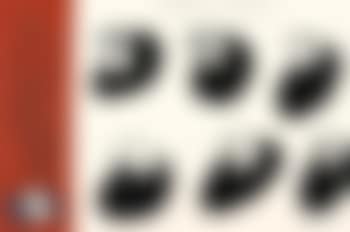 Heads of Eagle 2 (preview)