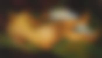 Desnudo De Mujer (preview)