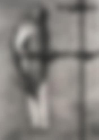 Bird Catcher (preview)
