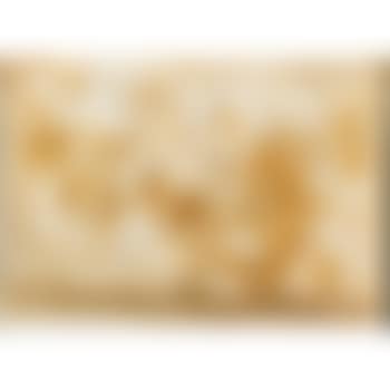 Plaine Rose (preview)