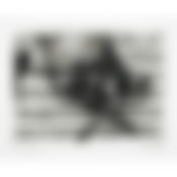 Untitled, from Harvey Gantt Portfolio (preview)