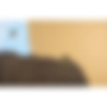 Rest your Unhealthy Compulsions... (preview)