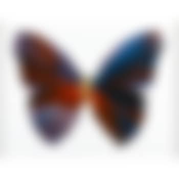 Butterfly Spin Painting (Created at Damien Hirst Spin Workshop) (preview)