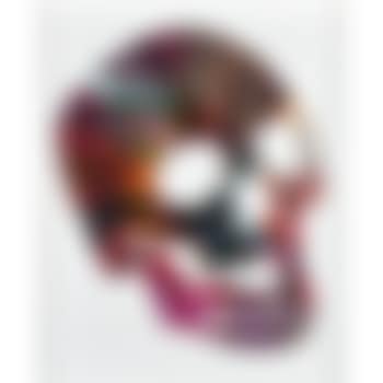 Skull Spin Painting (Created at Damien Hirst Spin Workshop) (preview)
